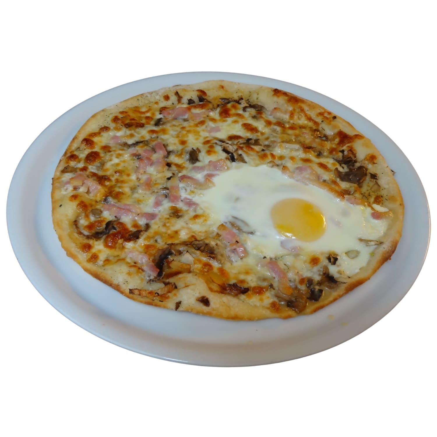 carbonara zapi top